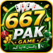 667pak Game