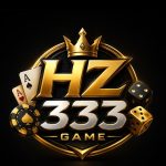 HZ333 GAME